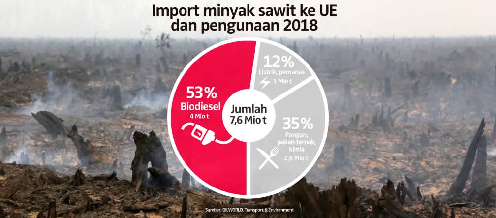 Minyak sawit di Eropa: 65% dibakar untuk transportasi dan energi Import minyak sawit ke UE dan pengunaan 2018
