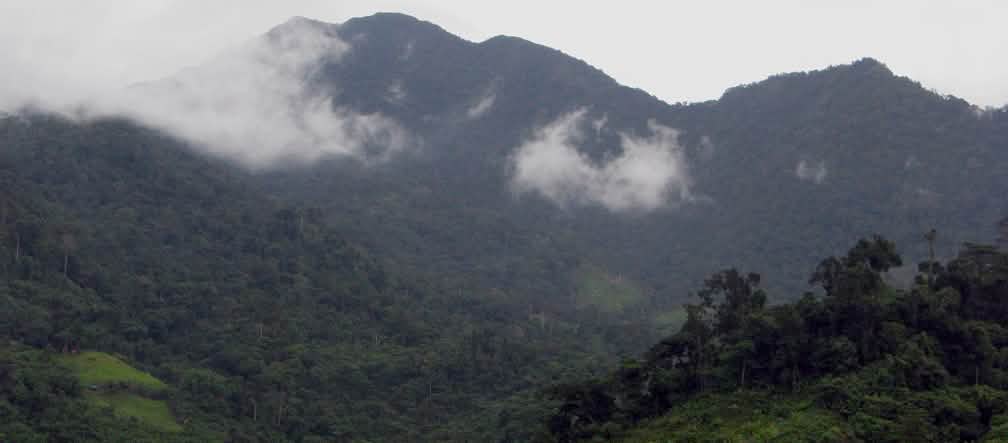 Lanskap pegunungan berhutan