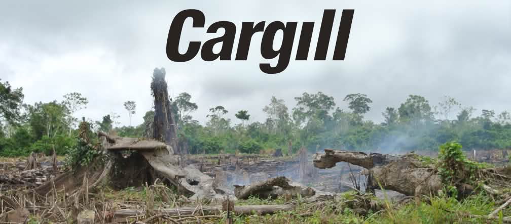 Di Amerika Latin hutan dibakar untuk dijadikan lahan ladang Kebakaran hutan + Logo Cargill