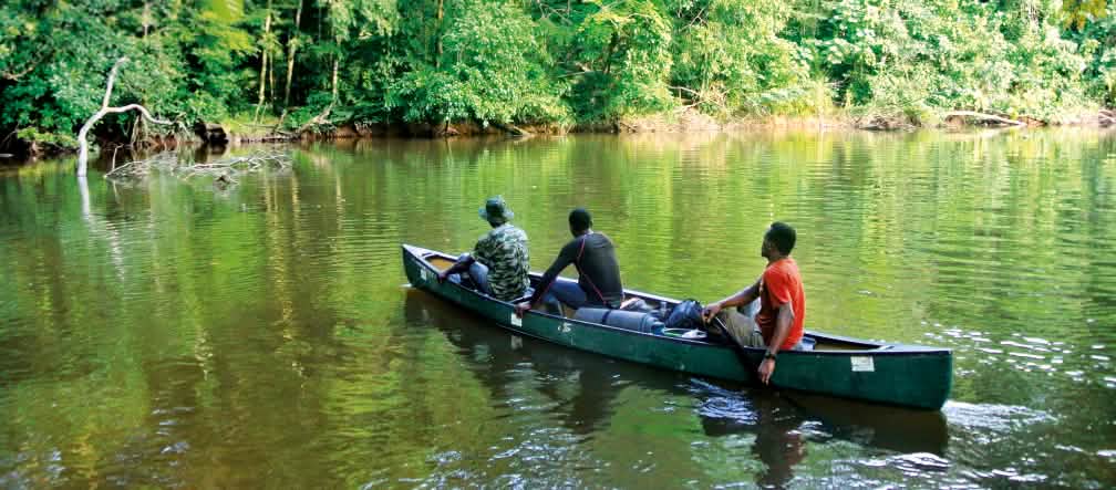 Sungai di Taman Nasional Sapo