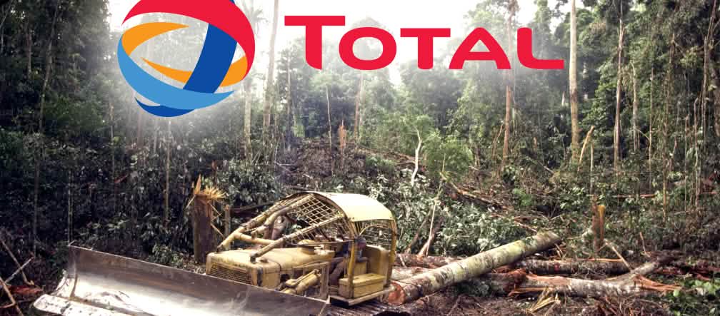 Biofuel dari minyak sawit penyebab kebekaran hutan hujan Total penebangan hutan hujan
