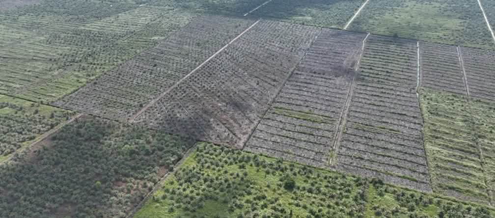 foto drone HGU baru