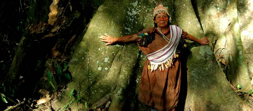 Penjaga hutan Penjaga hutan
