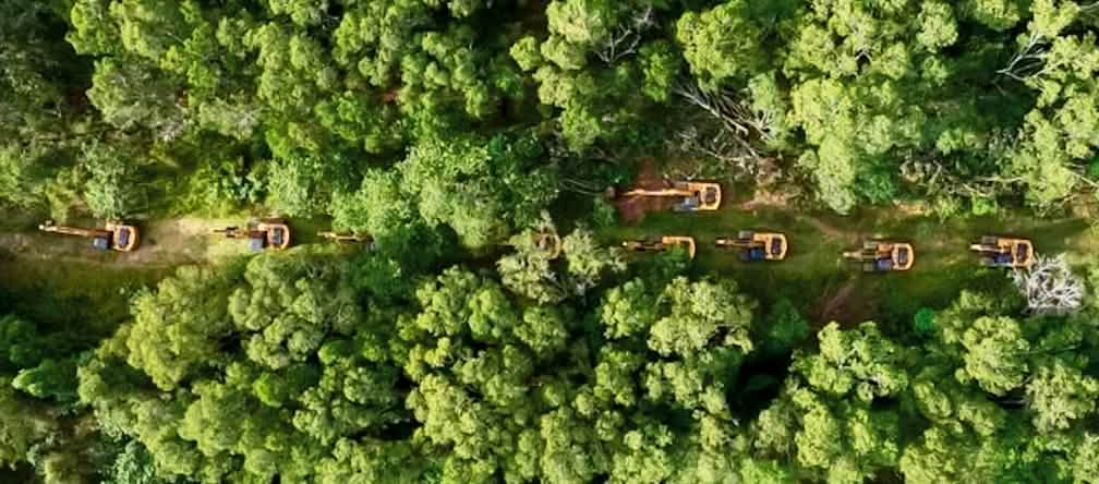 Foto drone barisan panjang eskavator melewati hutan hujan