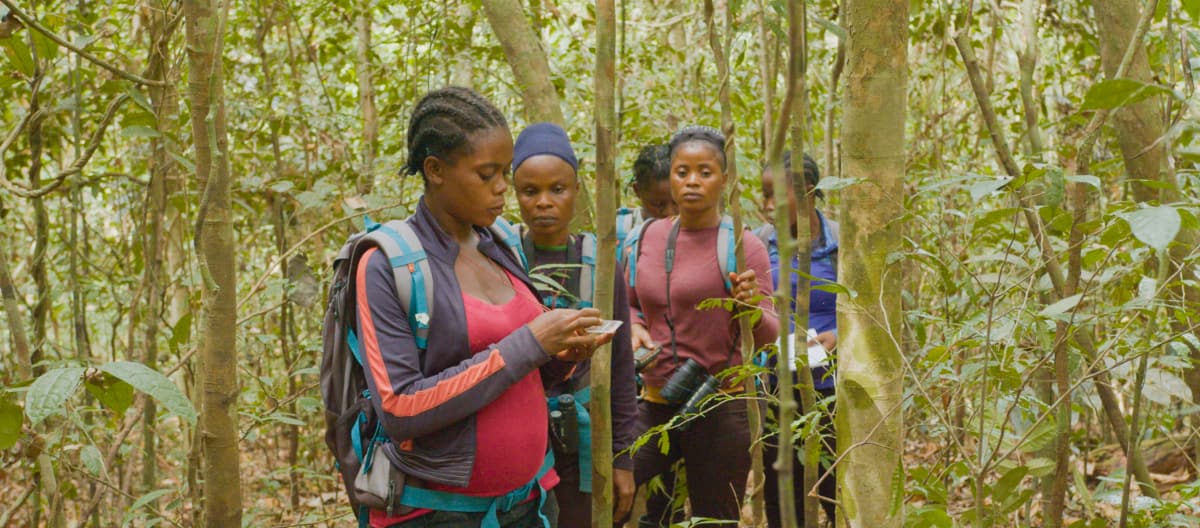 Eco-Guards di hutan hujan Liberia