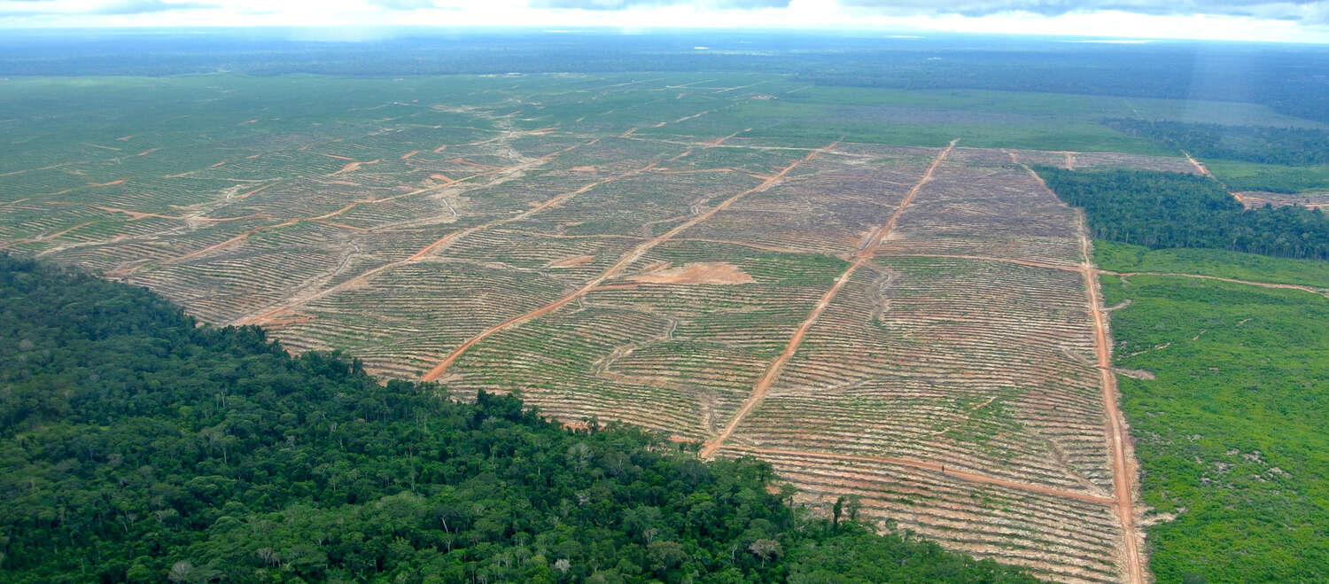 Foto udara mengambarkan pengrusakan hutan di Peru