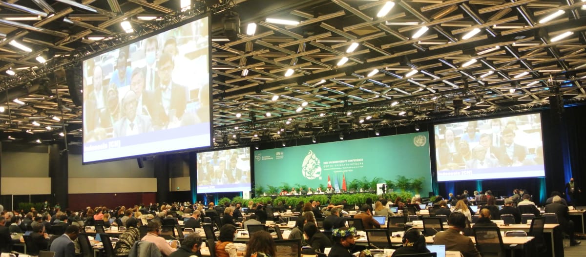Sidang pleno semasa COP 15