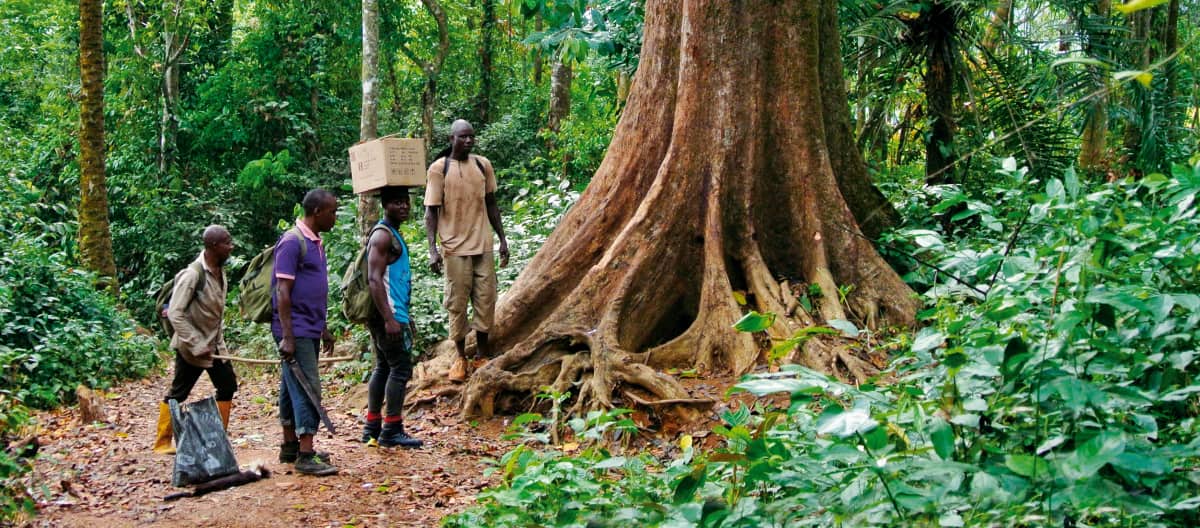 Eco Guards di hutan hujan