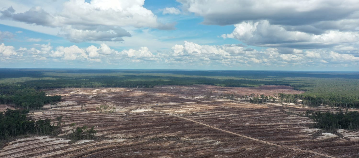 Rawa gambut di Kalimantan