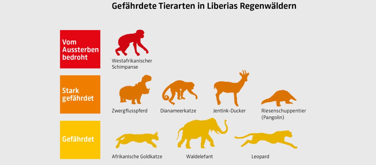 Grafik jenis hewan terancam punah di Liberia
