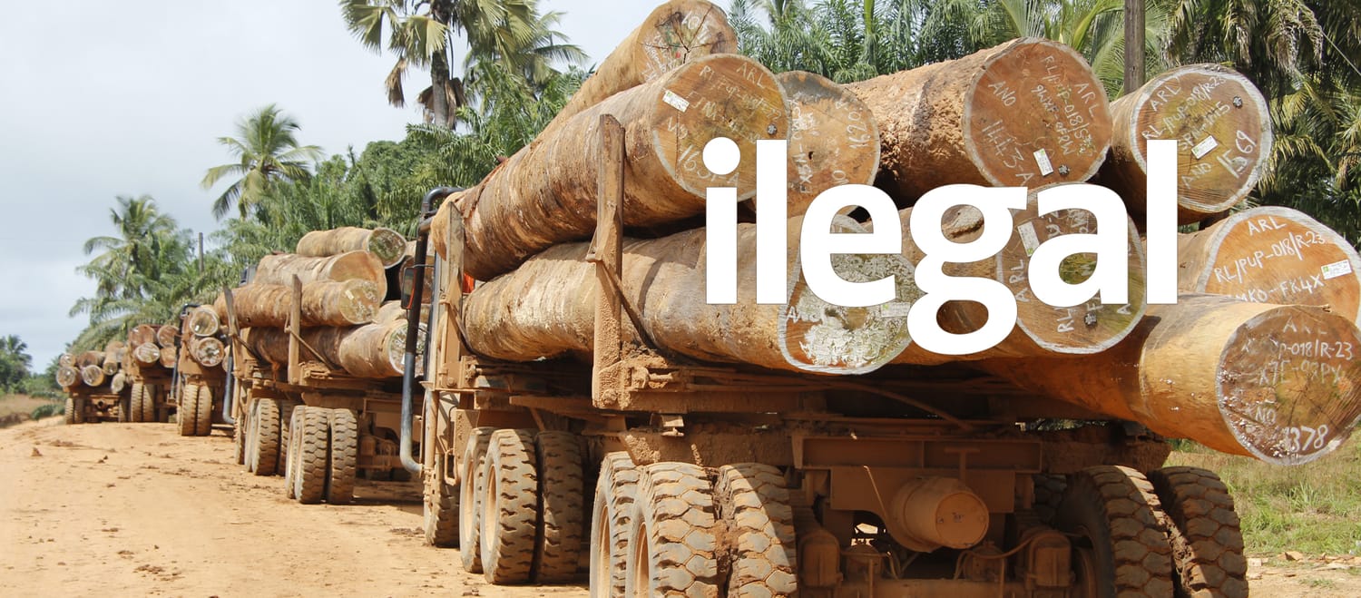 kayu ilegal di Liberia