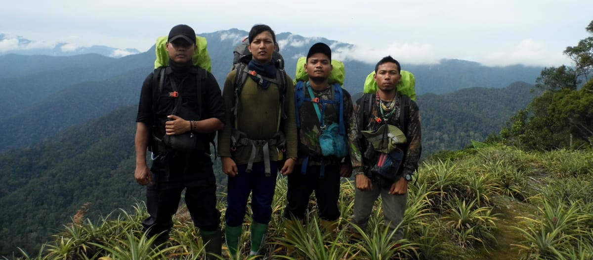 Tim ranger di kawasan ekosistem Leuser