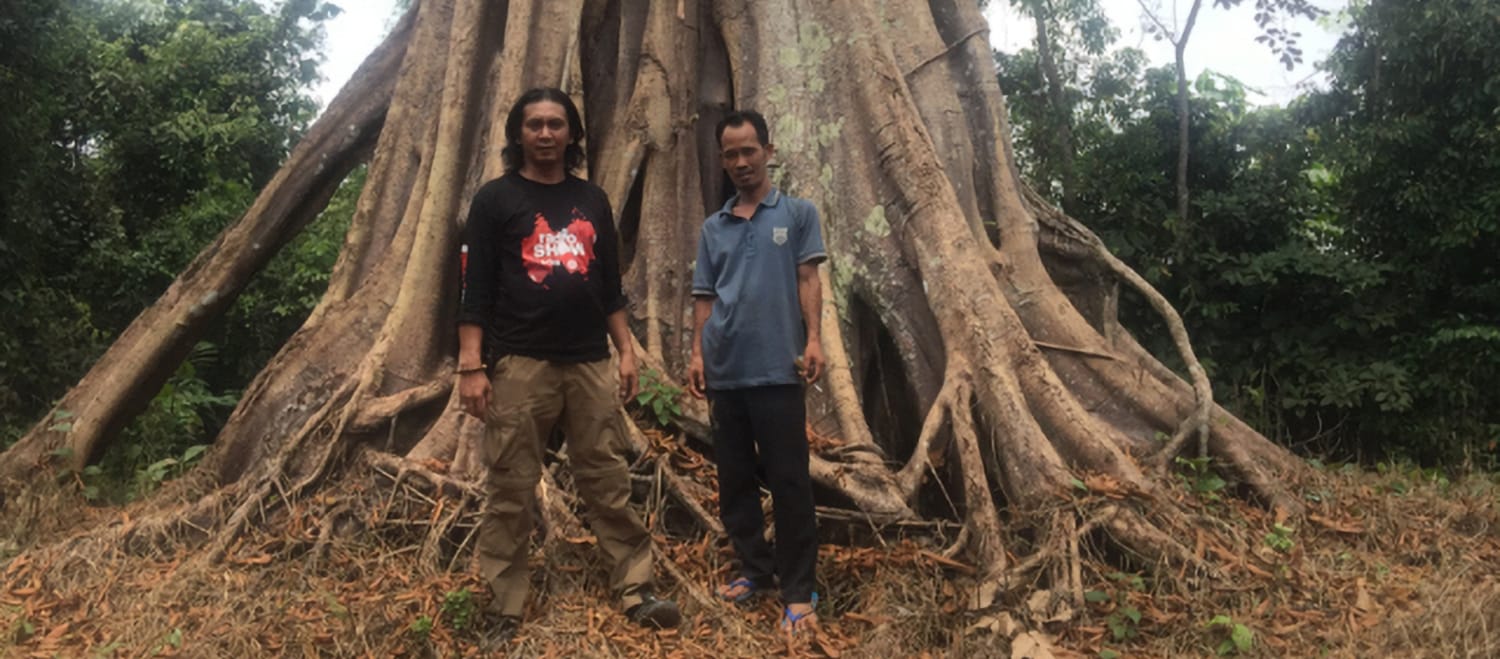 Feri dan Marhoni didepan pohon madu