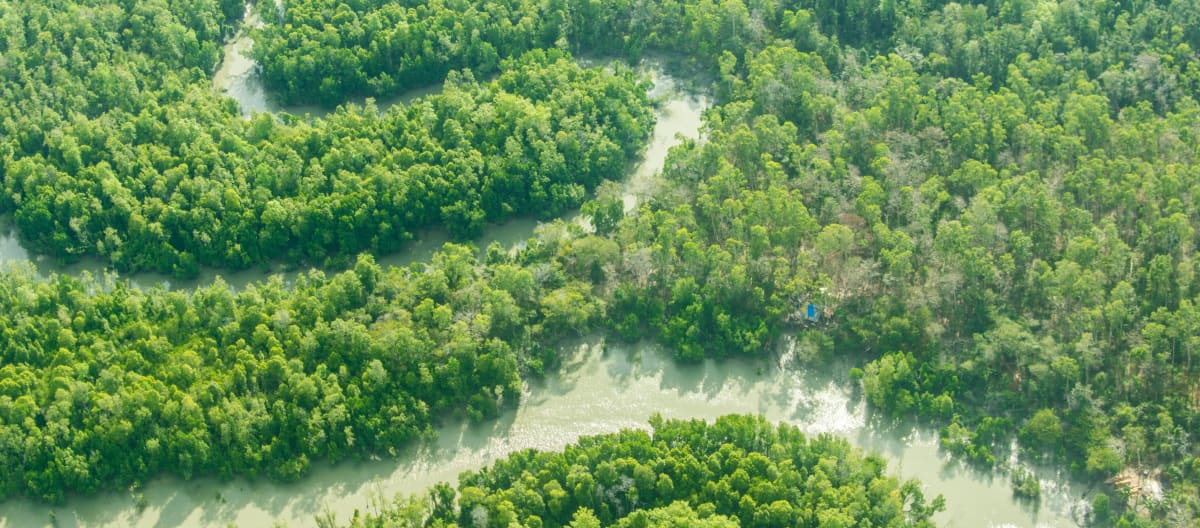 Sungai Digoel berkelok-kelok menelusuri hutan hujan.
