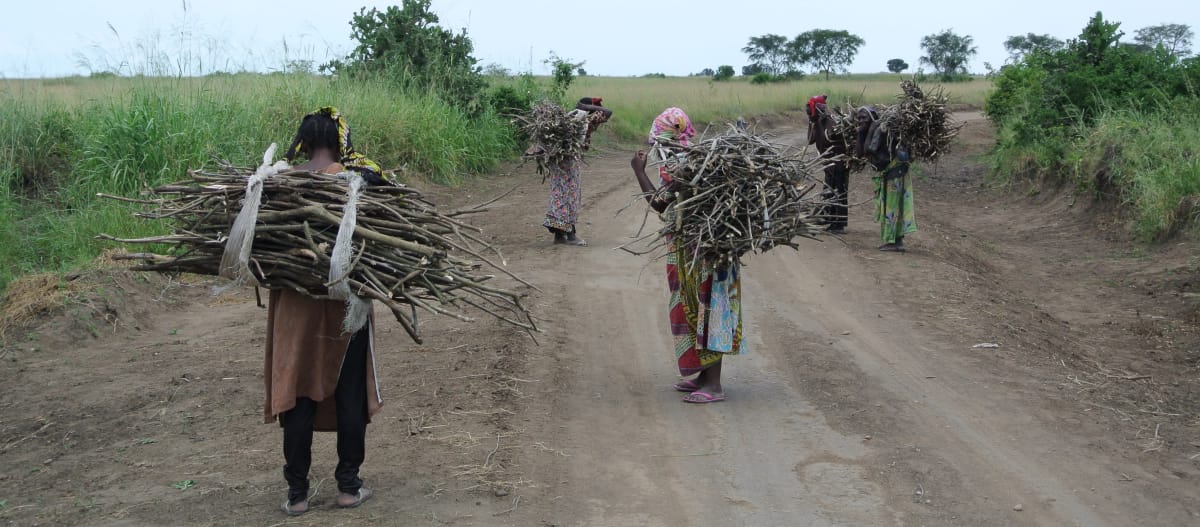 Perempuan sedang memikul kayu api menuju desa Vitshumbi