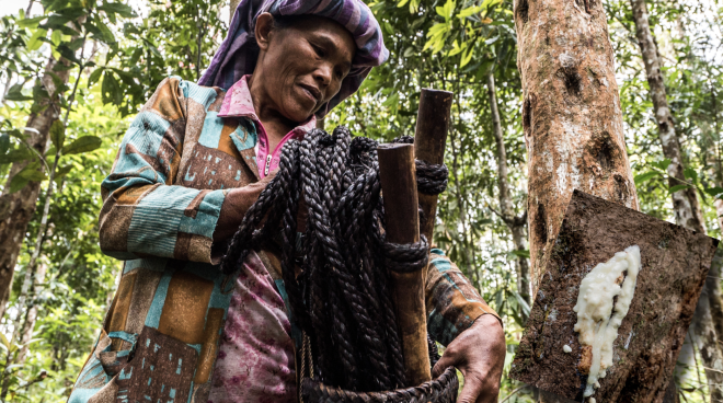 Seorang ibu Batak dengan getah pohon kemenyan