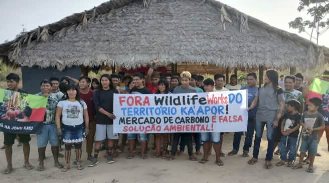 Sebuah kelompok terdiri dari 30 anggota masyarakat adat di depan pondok yang beratapkan pelepah kelapa melakukan protes dengan memegang spanduk: "Wildlife Works keluar dari wilayah Ka’apor. Perdagangan karbon adalah pemecahan krisis lingkungan"