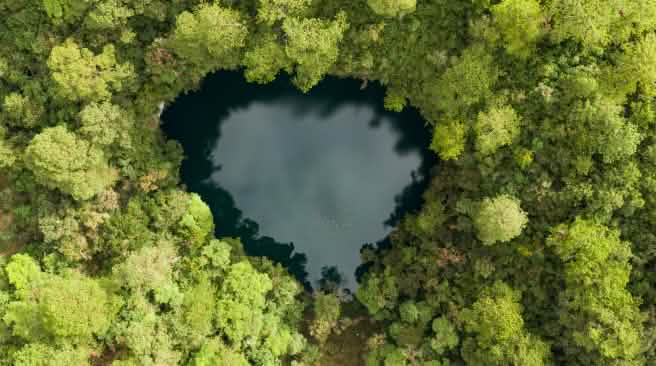 Foto dari udara: danau berbentuk hati dengan air gelap yang dikelilingi oleh hutan yang padat dengan pepohonan