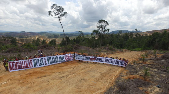 Protes menentang minyak sawit di hutan hujan Kalimantan
