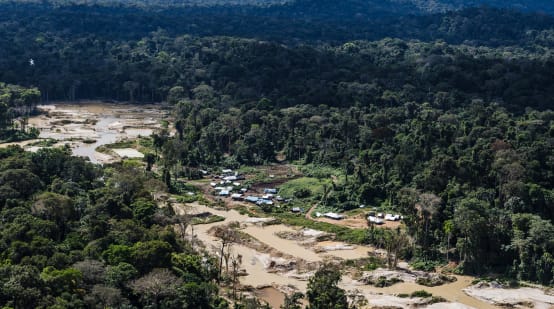 Pertambangan emas ilegal di wilayah Amazon, Brazil