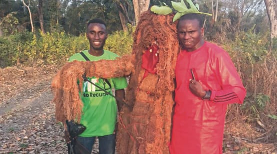 Spiritualitas di Guinea-Bissau