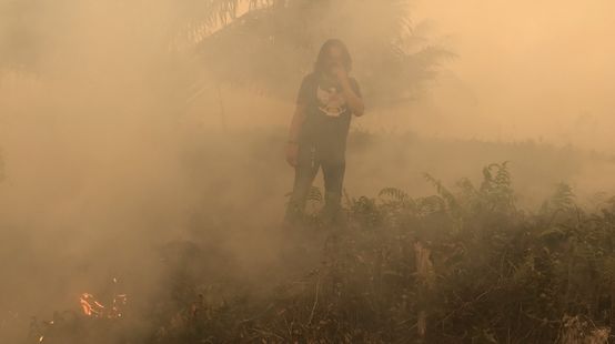 Kebakaran desa Puding, kabupaten Muaro Jambi, Sept 2019