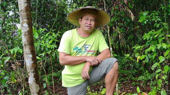 Aktivis lingkungan Matek Geram di Sarawak, Malaysia