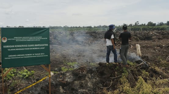 dua laki di pembukaan lahan dan tanda Kawasan Konservasi