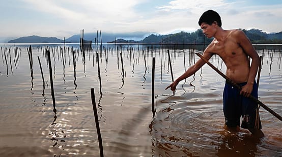 Pembuangan limbah nikel di laut Morowali