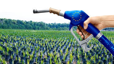 sawit biofuel UE