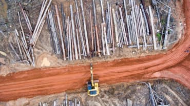 Foto dari udara: Ekskavator di lahan yang telah dibuka untuk perkebunan sawit milik perusahaan Korindo di Papua.