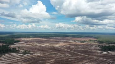 Rawa gambut di Kalimantan