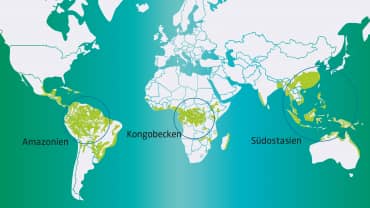 Peta dunia wilayah hutan hujan