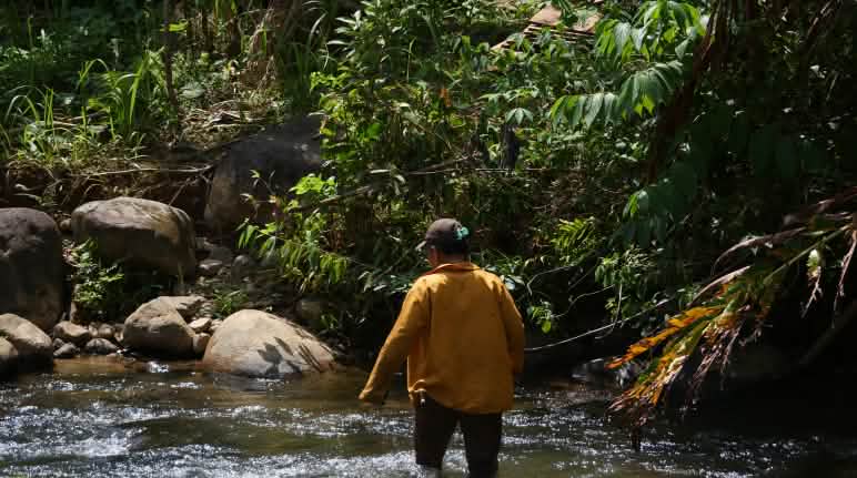 Sungai Wani-Wani memberi air tawar sejuk - dan tenaga listrik Sungai Wani-wani