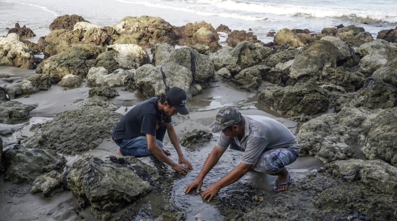 dua laki-laki di pantai yang tercemar oleh aspal cair