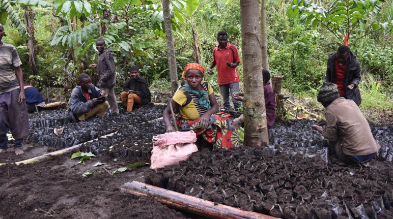 Pusat pembibitan suku Batwa Masyarakat adat sedang duduk di pusat pembibitan