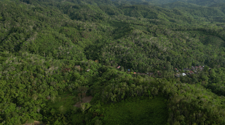 Kampung Malaris tersembunyi di hutan pergunungan Meratus foto drone kampung Malaris di hutan pergunungan Meratus