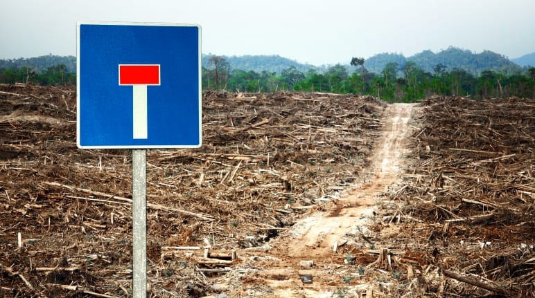 Montase foto: Di depan areal penebangan di hutan hujan terpancang sebuah rambu lalu lintas jalan buntu