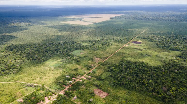 Tampak atas sebuah desa kecil disepanjang jalanan lurus, dibelakangnya perkebunan kelapa sawit yang dibangun setelah menebang hutan hujan.