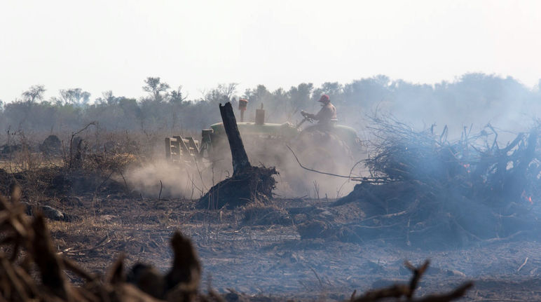 Sebuah traktor mengaduk-aduk debu di wilayah penebangan hutan yang terbakar di hutan rimba