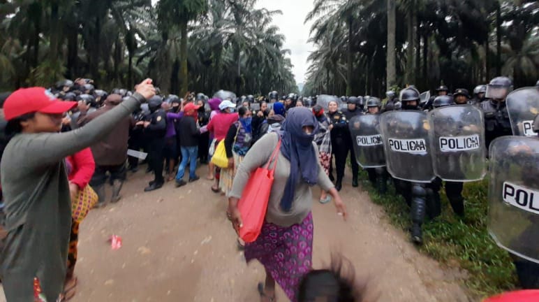 Sekelompok masyarakat Maya berprotes (sebelah kiri foto), sementara satuan polisi dengan helm dan perisai pelindung berdiri di bawah barisan pohon sawit (sebelah kanan foto)