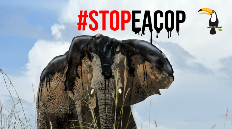 Montase: minyak bumi mengancam gajah - StopEACOP