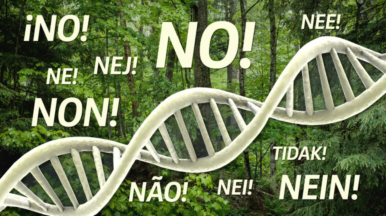 Kolase - DNA dalam hutan dan teks "NO"