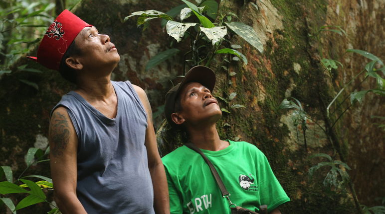 Masyarakat adat Dayak Tomun di hutan Kinipan