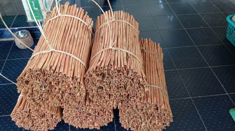 Masyarakat adat hidup dari kayu manis Kayu manis