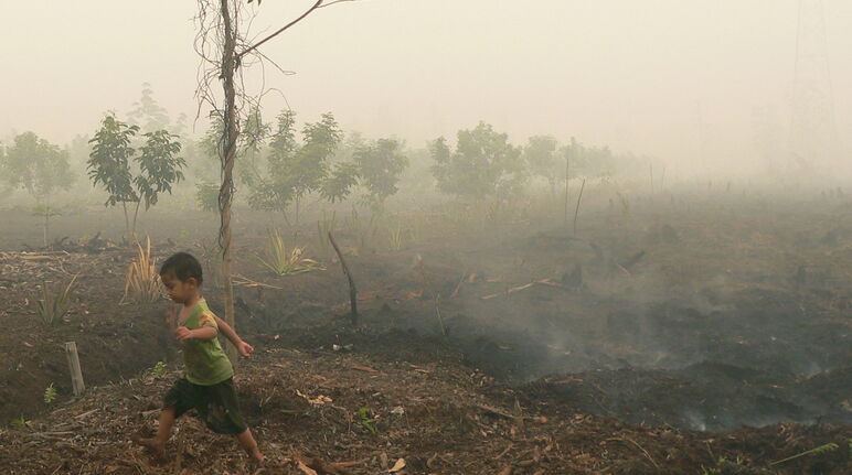 Anak kecil lari di lahan gambut