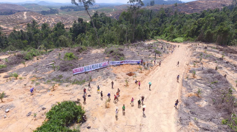 Masyarakat Kinipan melawan deforestasi dan sawit