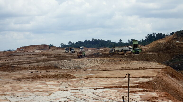 Perampasan hutan bekantan di Balikpapan oleh First Resources