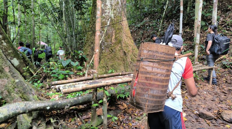 Kiri dan kanan jalur adalah lembah yang banyak jurangnya, jalurnya curam, perbahan vegetasi pun mulai nampak, pohon-pohon khas dan didominasi dengan pohon cemara Laki-laki dengan keranjang
