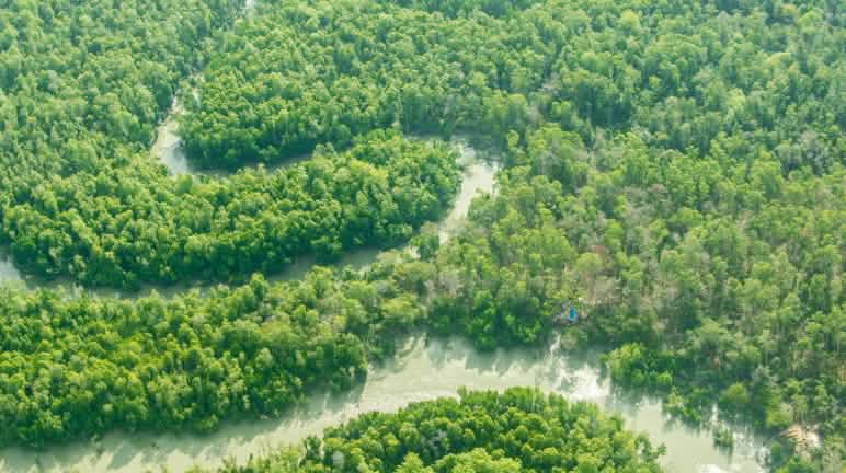 Sungai Digoel sepanjang 500 km mengalir ke laut di Merauke Sungai Digoel berkelok-kelok menelusuri hutan hujan.